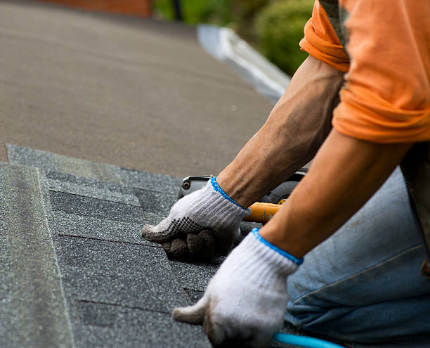 Best Roof Repair Services  in Ardia, CA