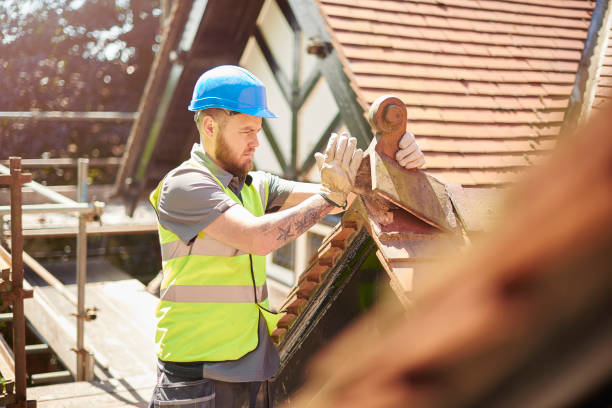 Best Roof Maintenance Services  in Ardia, CA